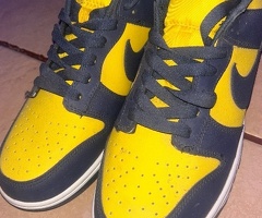 Nike dunk